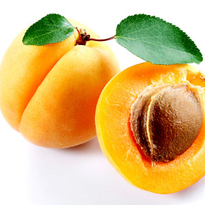kostochki-abrikos