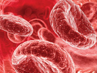 Recovery Program blood for anemia